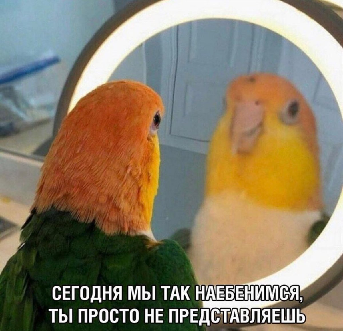 Твой внутренний мир иногда начинает сбоить?