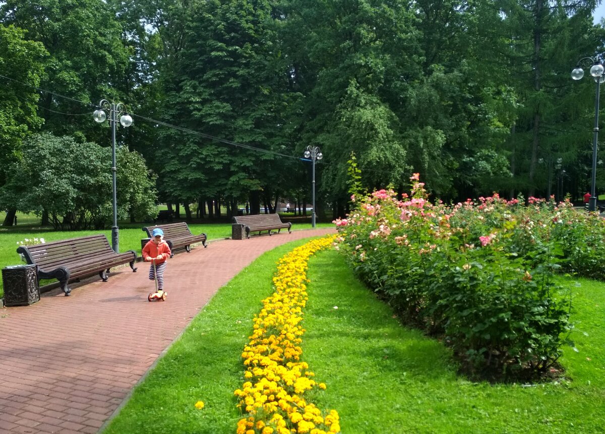 Парки москвы. Давыдовский сад парк Москва. 2021 Москва парки Москва. Зеленый парк Москва. Самый красивый парк в Москве.