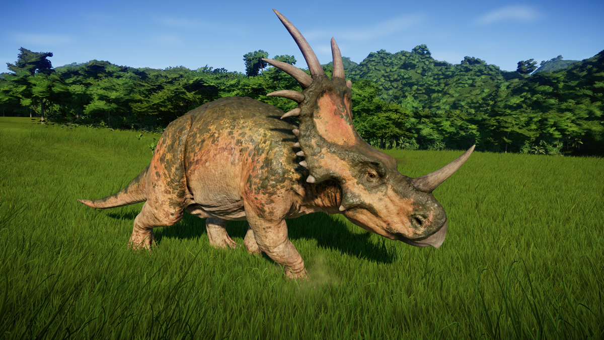 Изображение взято с ресурса "Яндекс.Картинки"