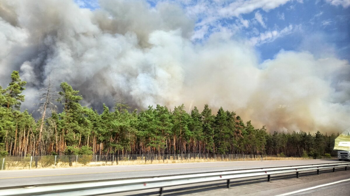 Горит лес вдоль трассы М-4