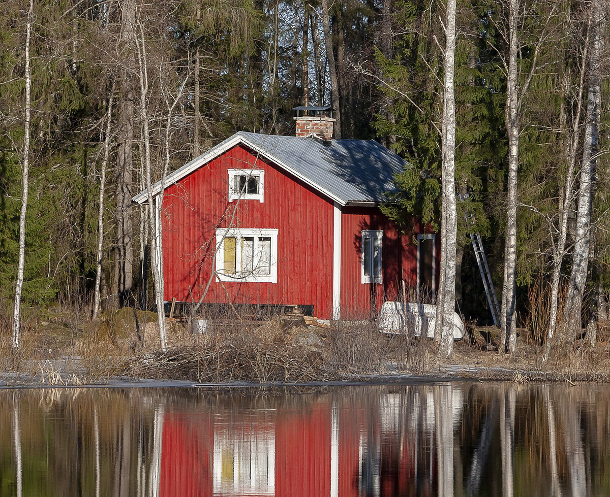 Фото: pixabay.com