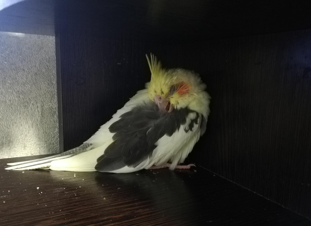 Воскресенье. Фото делала для врача.