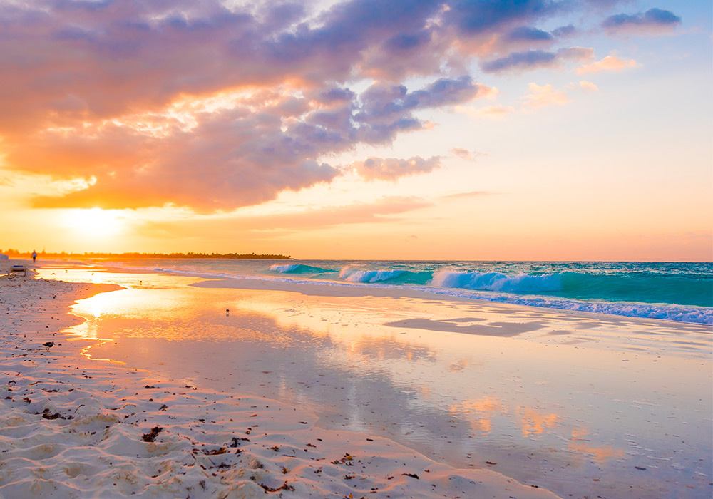 Источник фото: https://cuba.icwt.space/assets/images/nature/img-1.jpg