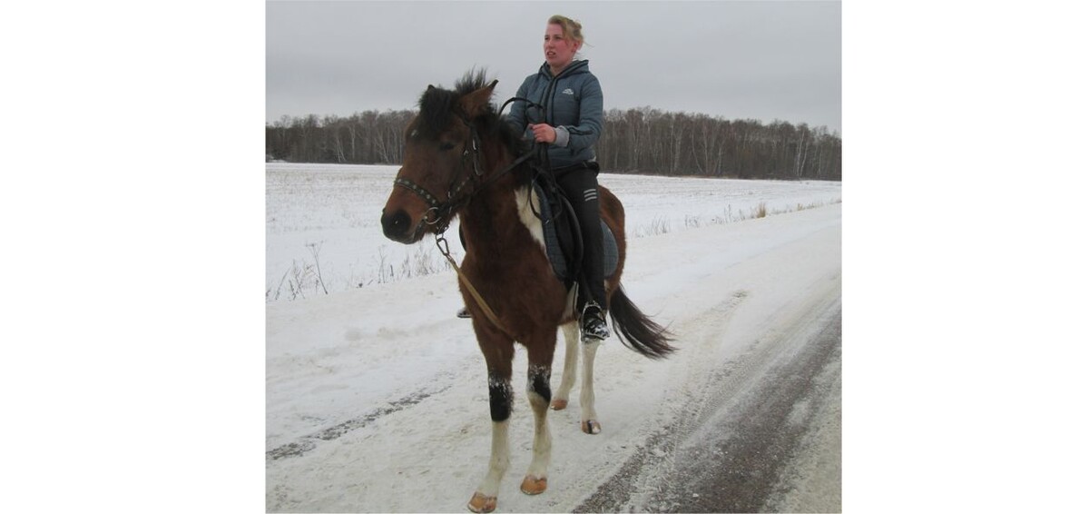 Прогулка в полях. Фото автора