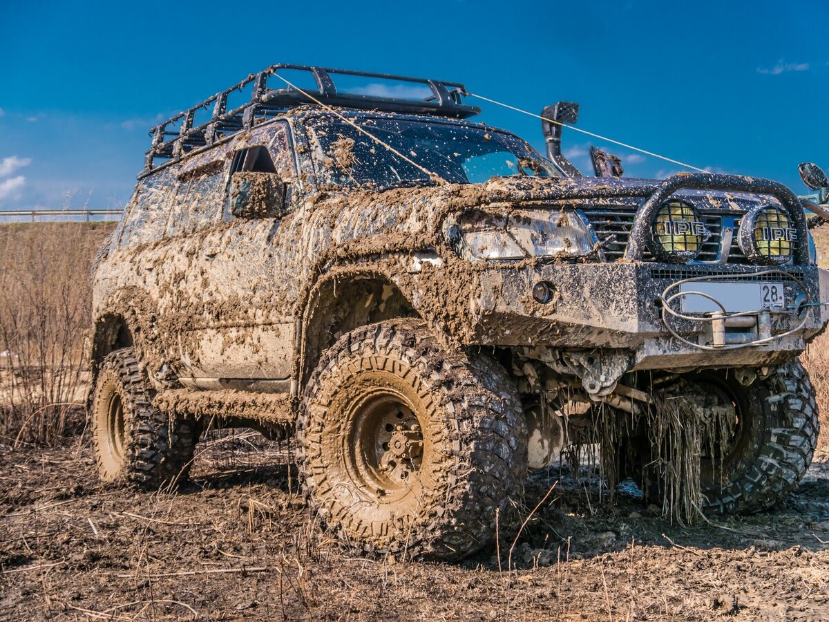 картинка из интернета