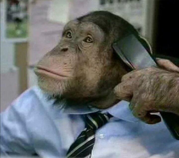 Я вам представился в начале разговора!