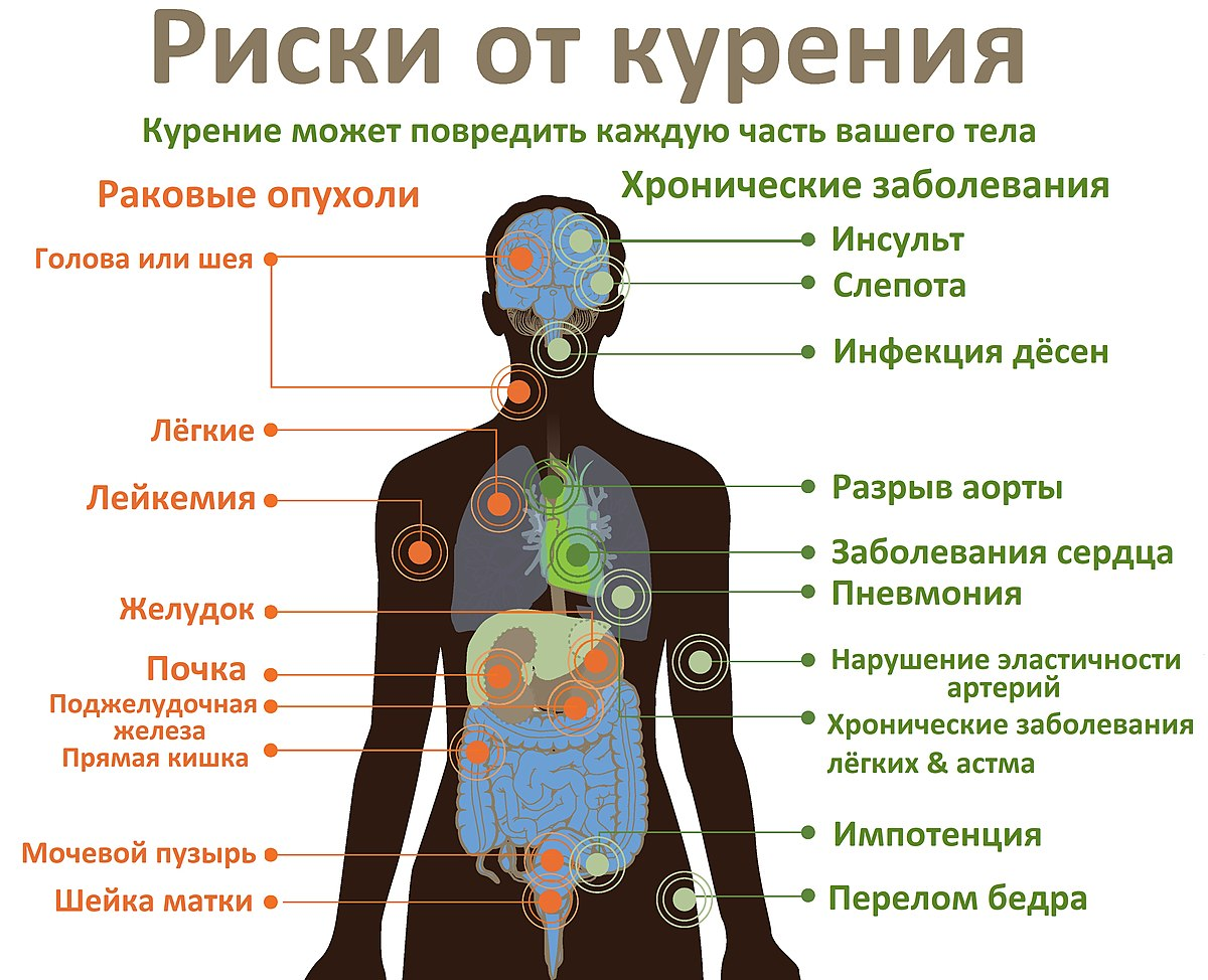 12 заблуждений у курильщиков | Клиника щитовидной железы | Дзен