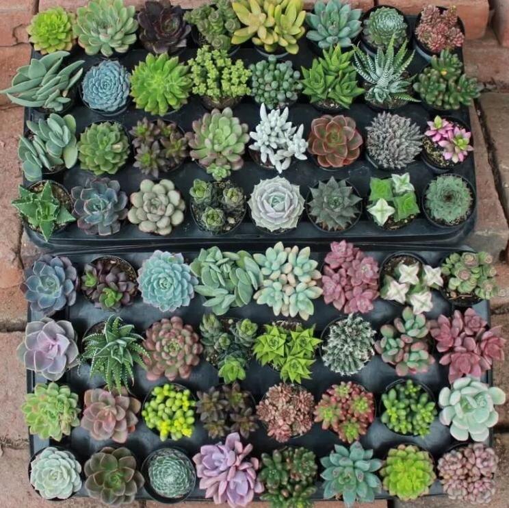 Изображение из открытого источника