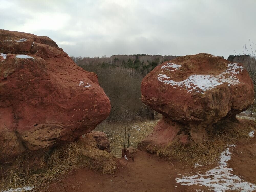 Красные камни грибы