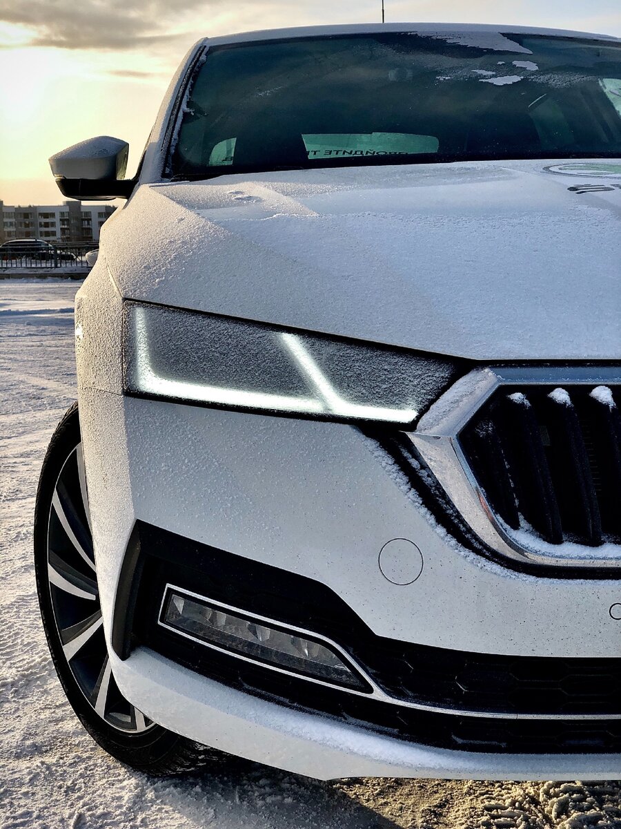 Даже актуальная Октавия стала красивой. О прошлом поколении такое мог сказать не каждый. Но дутые формы, матричная оптика - делают свое дело! (Фото сделано автором).