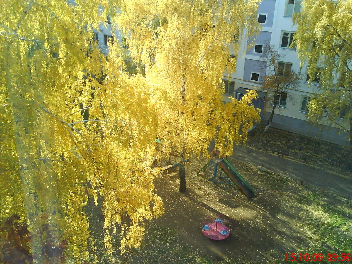 осень в дворе