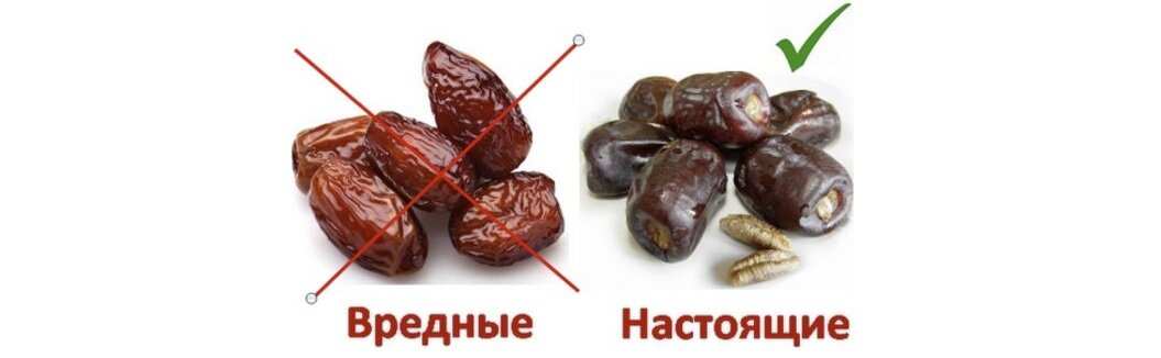 Финик ─ самый сладкий фрукт в мире и полезный сахарозаменитель ...
