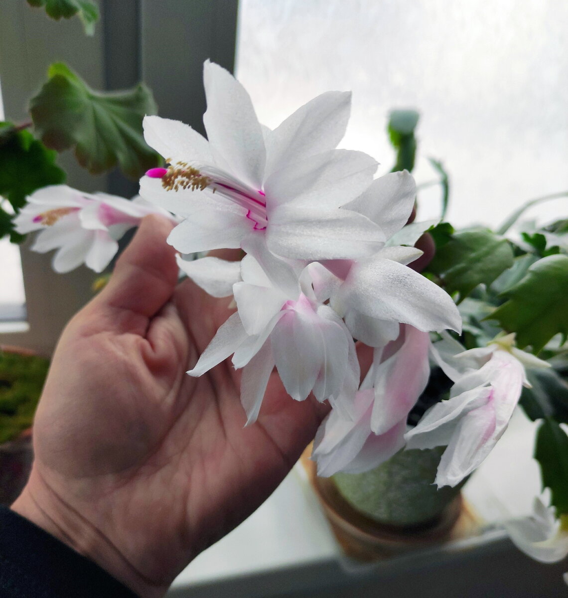 Как же мне это удалось?