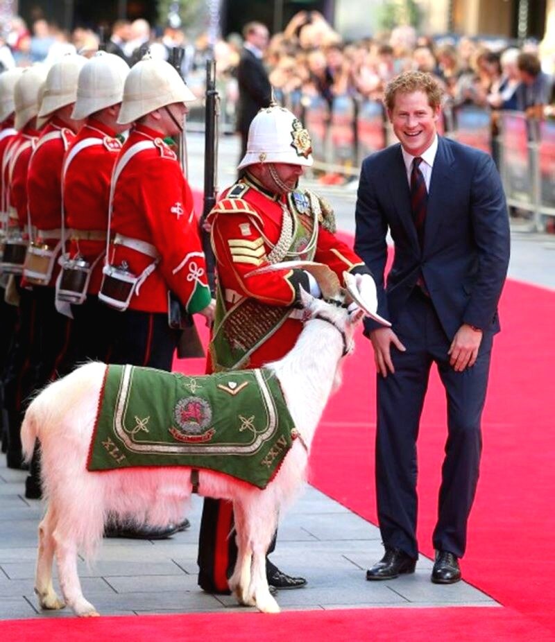 Яндекс картинки