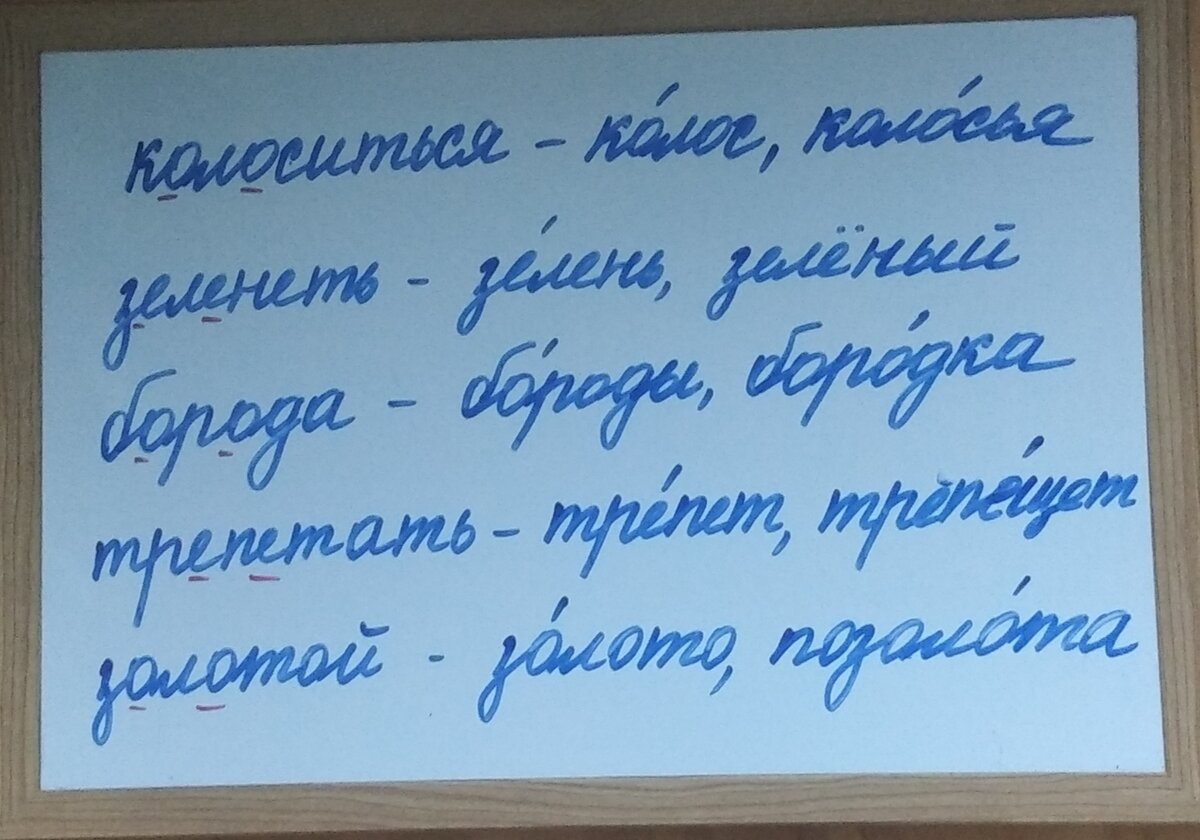 Задания по русскому языку для занятий летом. 3 класс. Занятие 1 | В помощь  родителям младшего школьника | Дзен