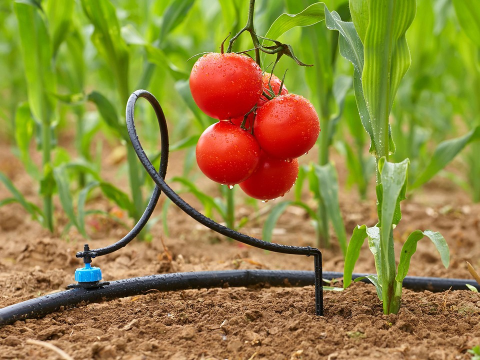 такие красивые фото, но ни постановочные и далеки от реальности