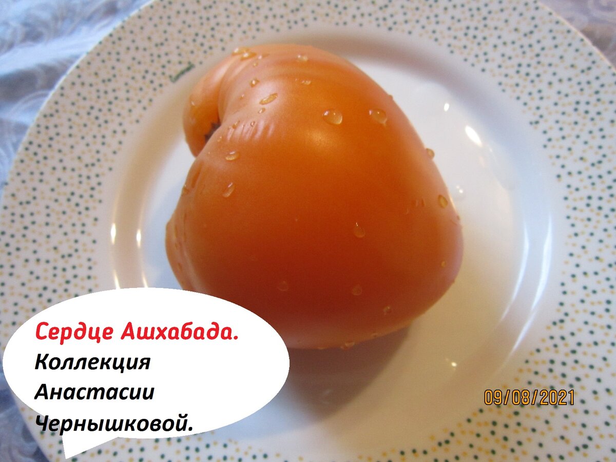 Томат Сердце Ашхабада.