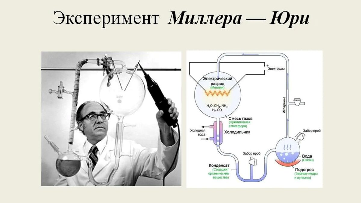 Установка миллера. Опыт Миллера и Юри. Опыты Миллера и Юри (1953). Эксперимент Миллера - Юри. Эксперимент Стэнли Миллера.
