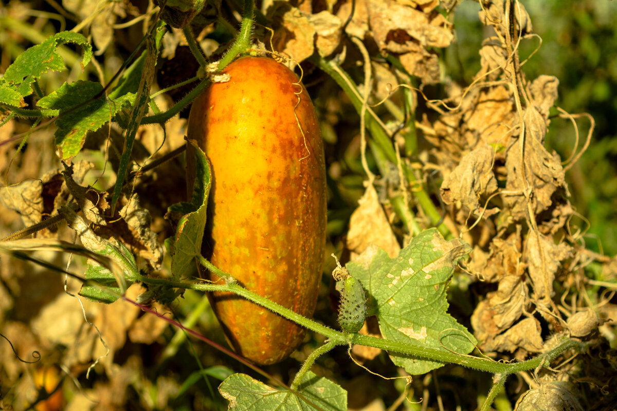 Пример моих фотографий