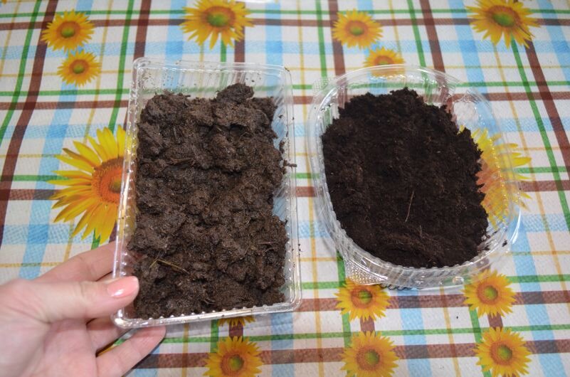 Смешиваю перегной и огородную землю в равных частях.