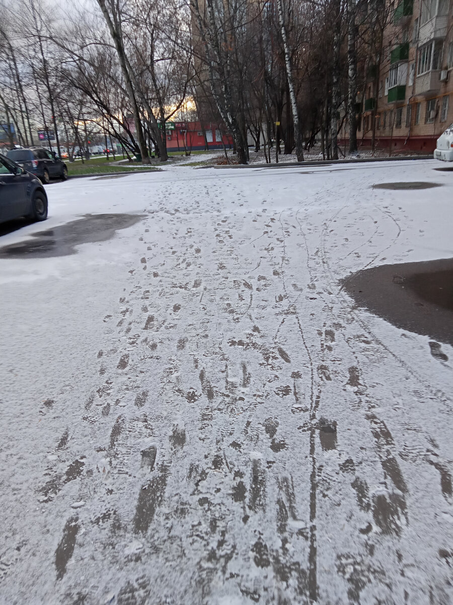 Фото автора. Утро