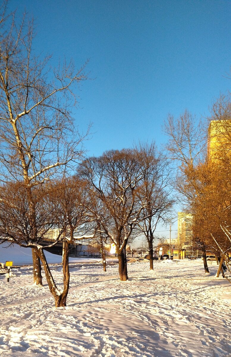 Мороз и солнце! День чудесный... Прогулка моя. Фото моё. 