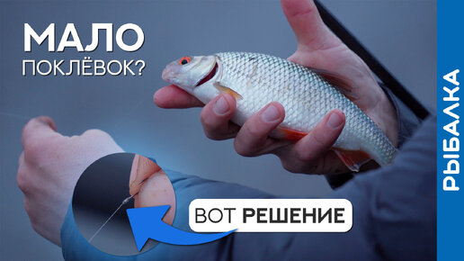 Как получить больше поклёвок при ловле осторожной рыбы?