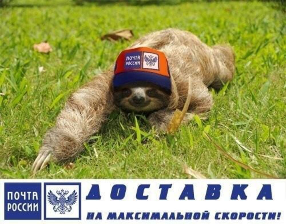 Источник: i0.u-mama.ru