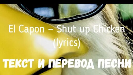 El Capone shut up Chicken. Shut up Chicken текст. Shut up Chicken перевод. Шат ап Чикен песня.