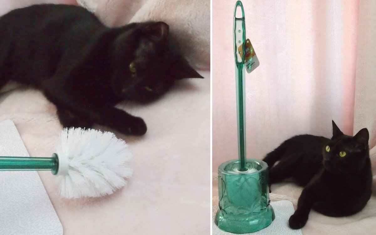 Достойно смотрится