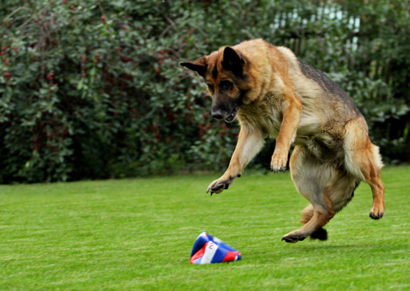 Ханна фон дер Бастилле.