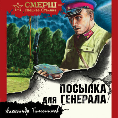 Александр Тамоников — Посылка для генерала (Аудиокнига)