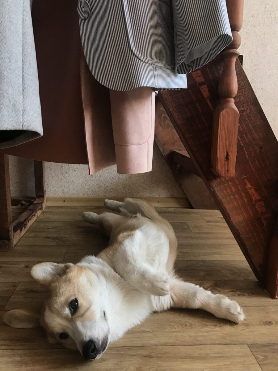 Все фото в подборке из личного архива