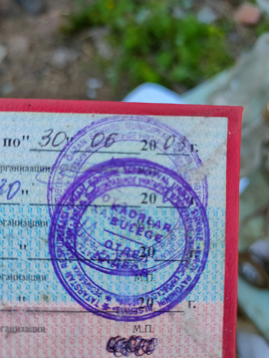 Как всегда, многострадальная буква Ü, переданная буквоц U также, как частеньку Ү передавали по ошибке У