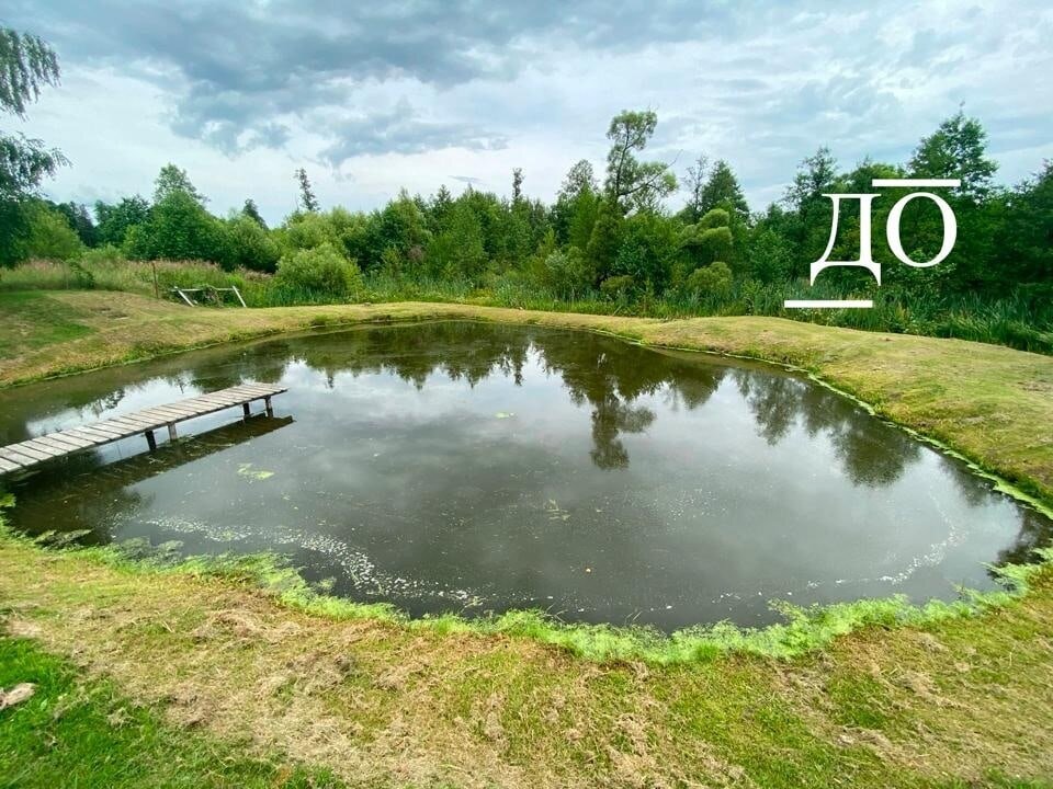 фото ДО внесения (июль) : пруд цвел + большой слой ила.