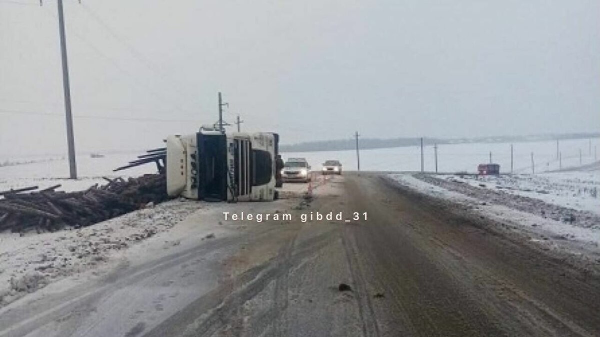 На белгородской трассе перевернулась фура. Водитель пострадал | Бел.Ру |  Дзен