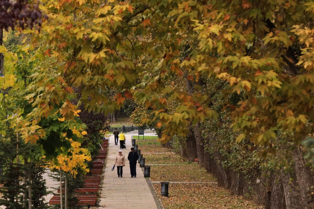Фото: Наталья Сомова