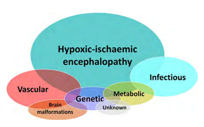 The ILAE classification of seizures and the epilepsies: Modification for seizures in the neonate. Position paper by the ILAE Task Force on Neonatal Seizures