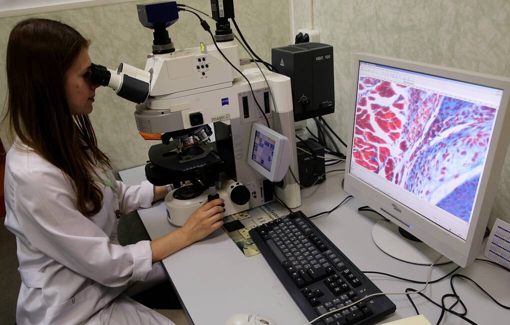 © Сергей Фадеичев/ТАСС 