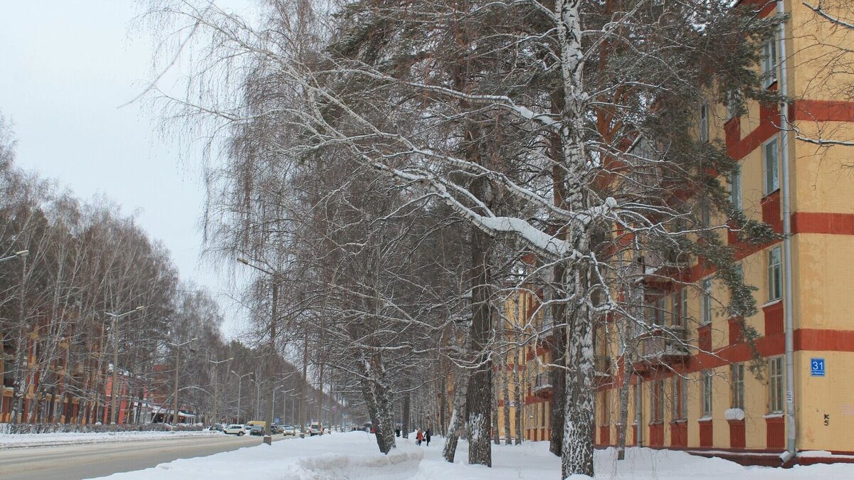 Академгородок Новосибирск морской проспект