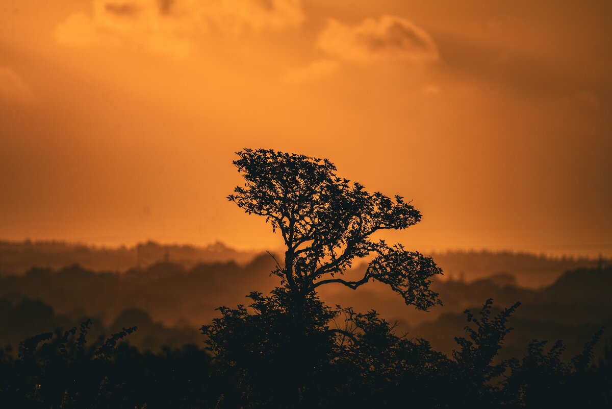 Фото с бесплатного фотоистока https://unsplash.com, автор Royal Oxford