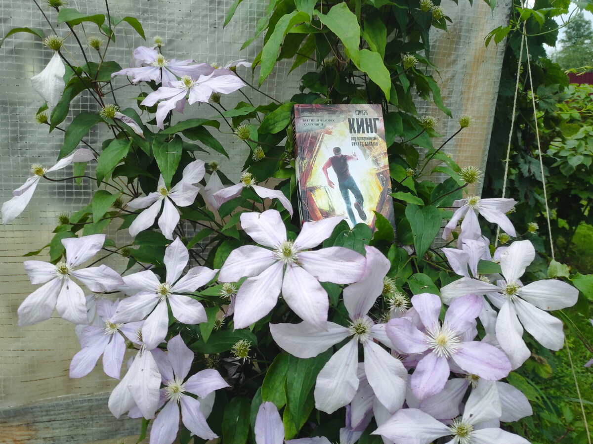 Личный архив