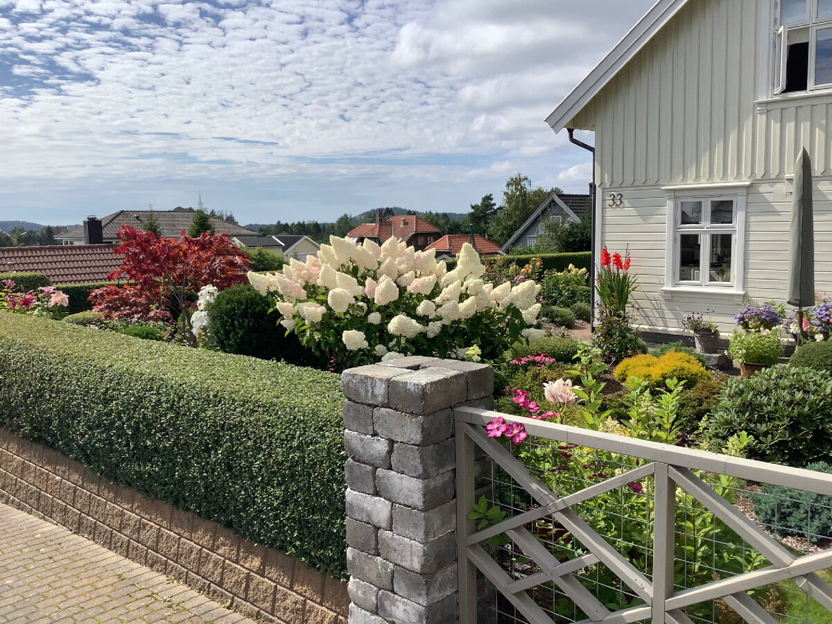 2 фото, листайте.