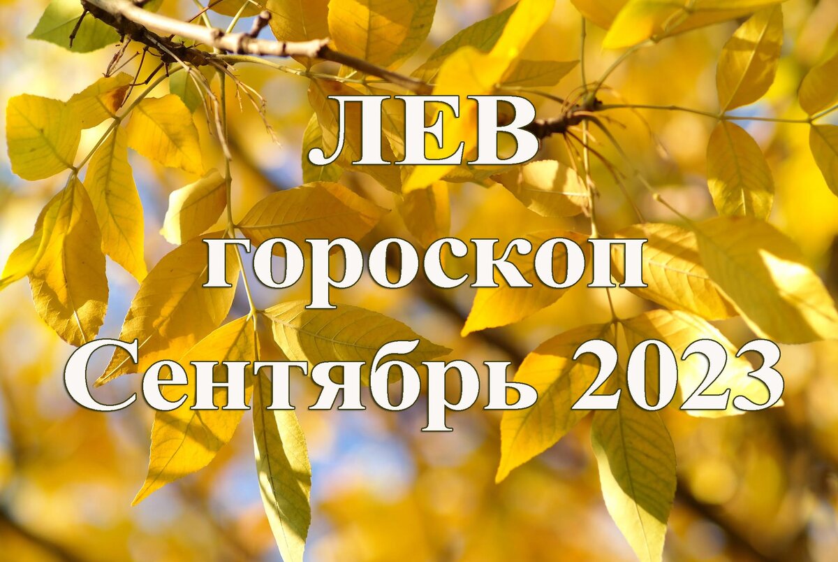 Гороскоп на сентябрь 2023 года