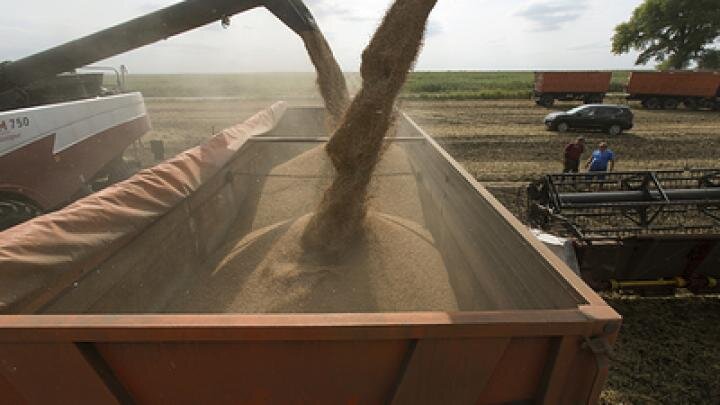 Фото: globallookpress.com/Nikolay Gyngazov