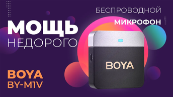 Очень круто и недорого - беспроводные петличные микрофоны BOYA BY-M1V