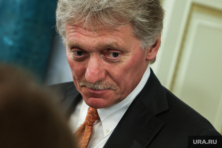    Пресс-секретарь президента РФ Дмитрий Песков считает, что решение о включении или исключении русских классиков из заданий к ЕГЭ по литературе должны принимать специалисты