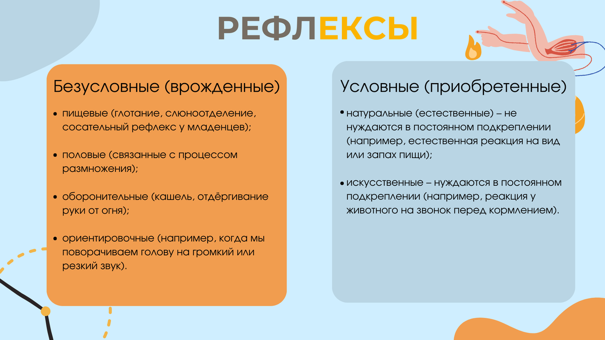 Охранительное значение имеет торможение условных рефлексов