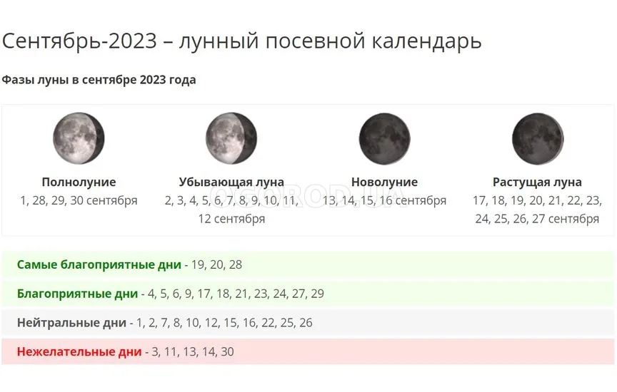 Стрижка ноябрь 2023 благоприятные дни по лунному