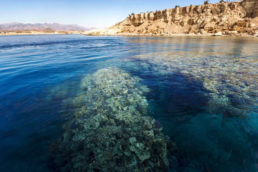 Море Шарм Эль Шейх бухта Набк